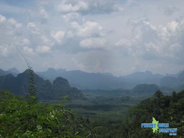 Khao Sok Jungle Safari 2 Days 1 Night Tour